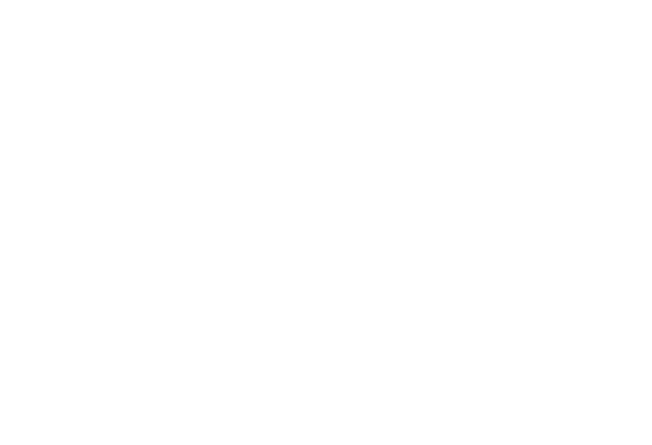 shahanaweb developer